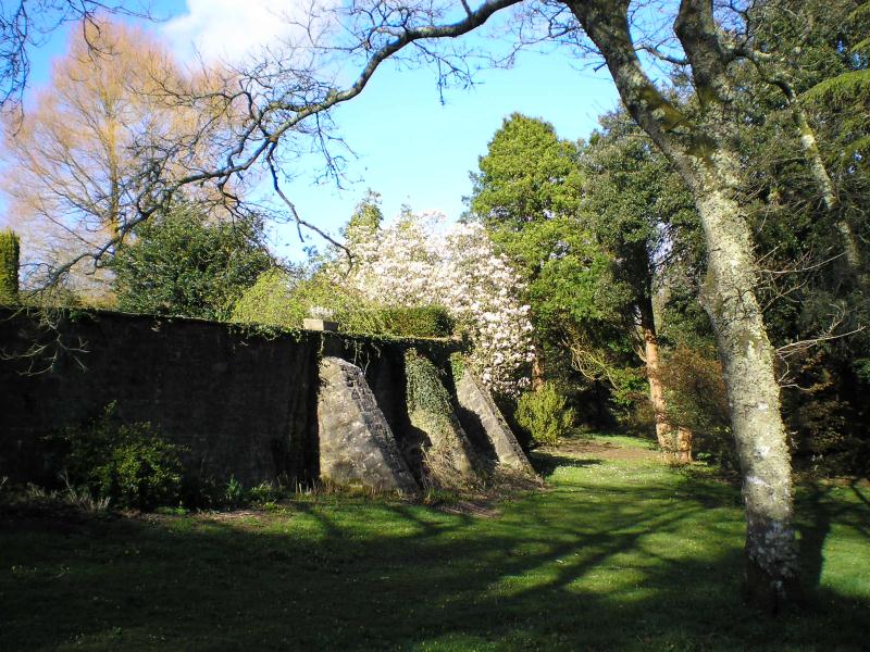 Upton Castle Gardens